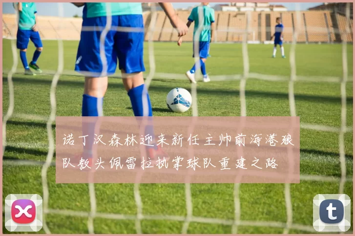 诺丁汉森林迎来新任主帅前海港狼队教头佩雷拉执掌球队重建之路